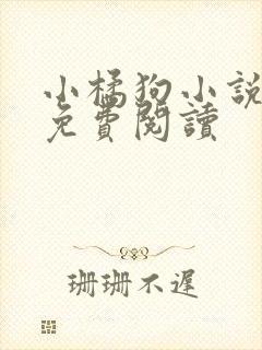 小橘狗小说全文免费阅读