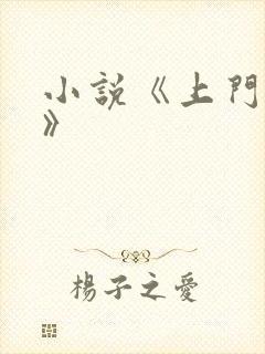 小说《上门姐夫》封面