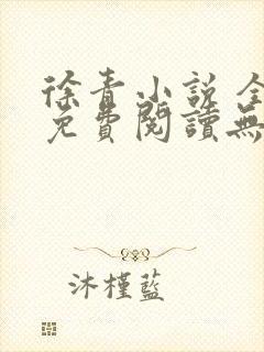 徐青小说 全文免费阅读无弹窗