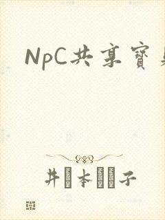 NpC共享宝贝