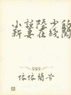 小说陆少的暖婚新妻在线阅读