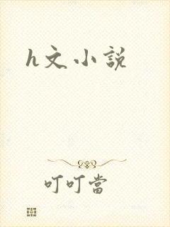 h文小说
