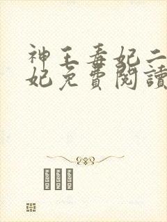 神王毒妃二嫁王妃免费阅读全文