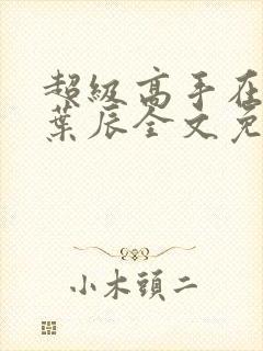 超级高手在都市叶辰全文免费阅读