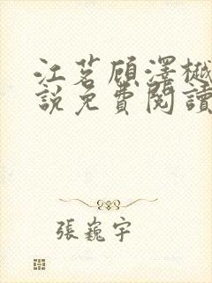 江茗顾泽樾的小说免费阅读