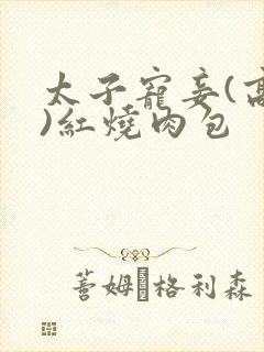 太子宠妾(高肉)红烧肉包封面