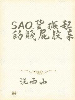 SAO货撅起你的贱屁股来
