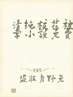 清纯校花被擒日常小说免费阅读全文封面
