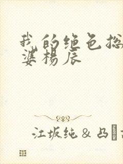 我的绝色总裁老婆杨辰