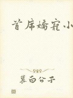 首席娇宠小情人封面