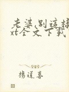 老婆,别这样txt全文下载下载