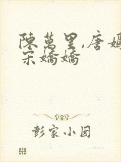 陈万里,唐嫣然宋娇娇