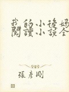 我的小后妈免费阅读小说全文封面