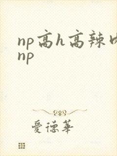np高h高辣肉np