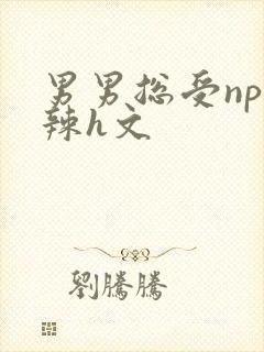 男男总受np高辣h文封面
