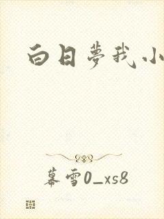 白日梦我小说