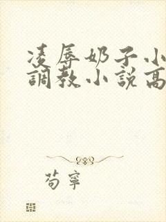 凌辱奶子小说上调教小说高h