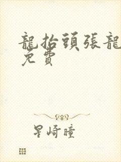龙抬头张龙小说免费