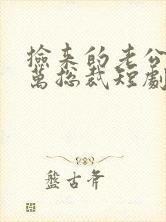 捡来的老公是亿万总裁短剧封面