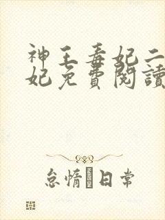 神王毒妃二嫁王妃免费阅读全文封面