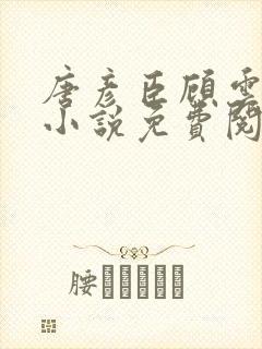 唐彦臣顾云歌的小说免费阅读