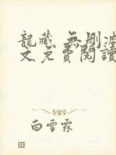 龙藏 无删减全文免费阅读封面
