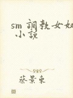 sm 调教女奴 小说