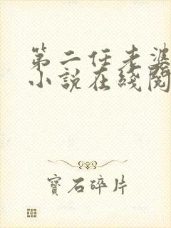 第二任老婆小音小说在线阅读