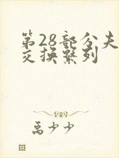 第28部分夫妇交换系列封面