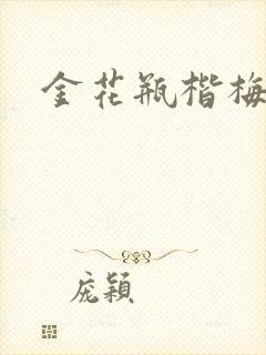 金花瓶楷梅花封面