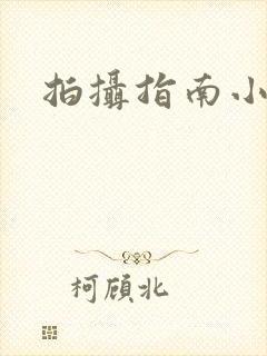 拍摄指南小说