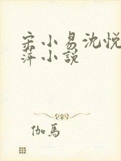 宋小易沈悦江晓萍小说封面