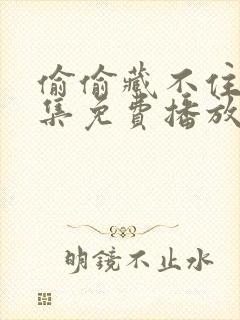 偷偷藏不住57集免费播放下载