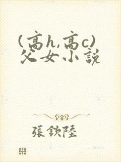 (高h,高c)父女小说