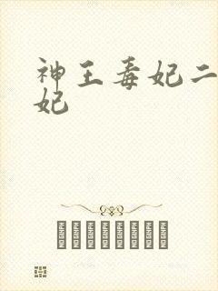 神王毒妃二嫁王妃