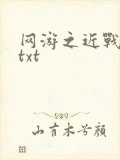 网游之近战法师txt