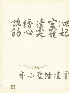锦绣清宫:四爷的心尖宠妃 雪中回眸封面