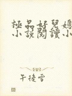 极品好儿媳沐慧小说阅读小说