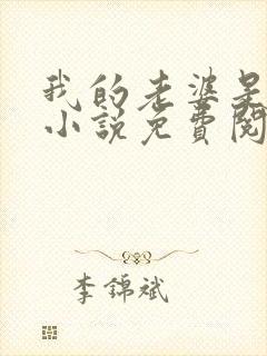 我的老婆是总裁小说免费阅读