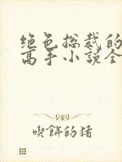 绝色总裁的超级高手小说全文下载封面