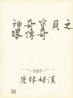 神奇宝贝之写轮眼传奇封面