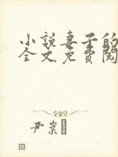 小说妻子的秘密全文免费阅读全文