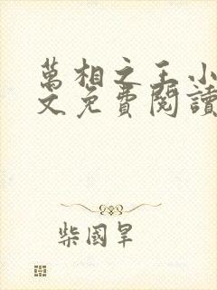 万相之王小说全文免费阅读全文
