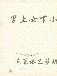 男上女下小说