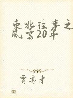 东北往事之黑道风云20年