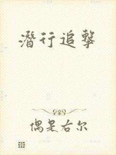 潜行追击