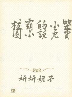 校霸的小哭包校园小说免费阅读姜甜苏