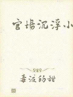 官场沉浮小说