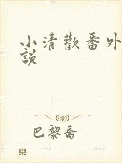 小清欢番外篇小说