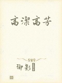 高洁高芳封面